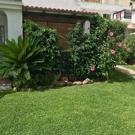 Holidays On The Torremolinos